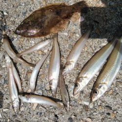 東二見のキス情報