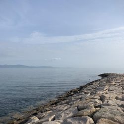 今シーズン初キス釣り