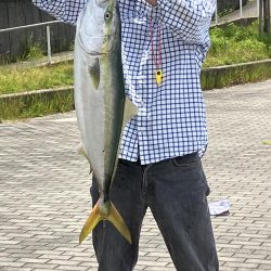 コスモ　ルアーでブリ８１㎝！！