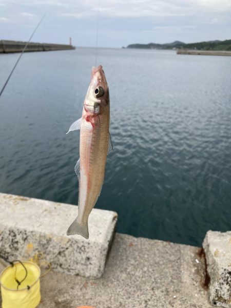 紀州釣り