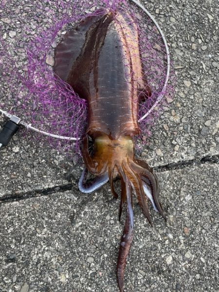 やっと来ました！