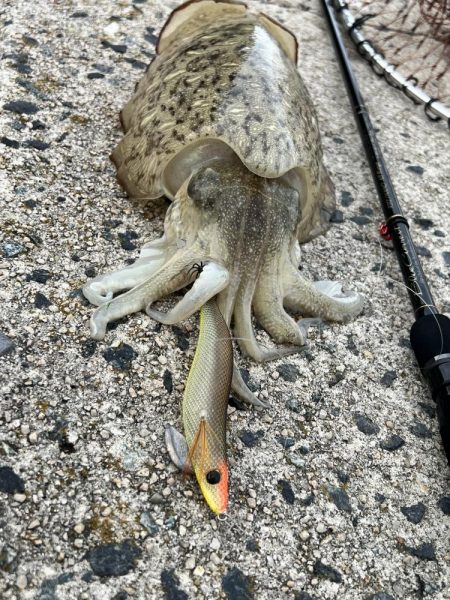 私的には爆釣？でした！！