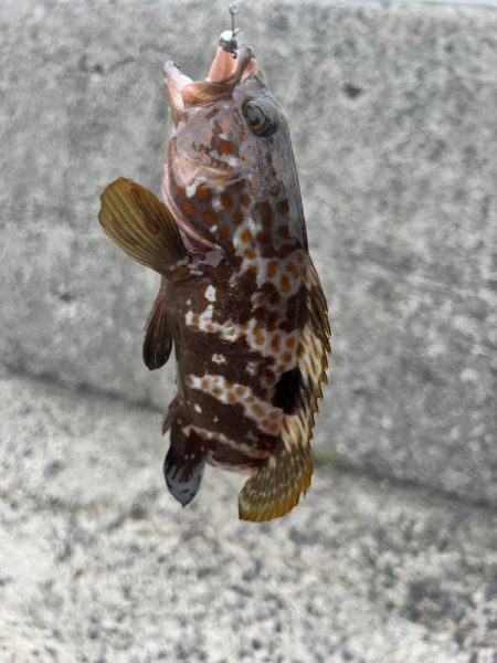 もうお前らええんやけど