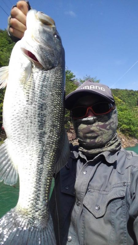 プリスポーンダイナマイト！