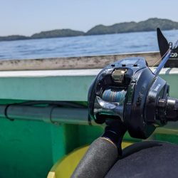 今日もクログチ(泉州丸)