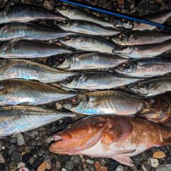 フロートアジング