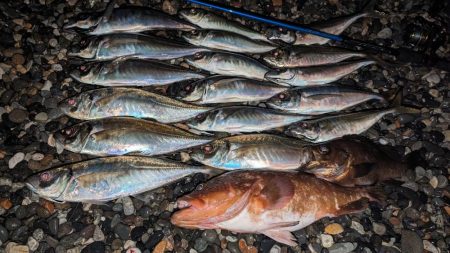 フロートアジング