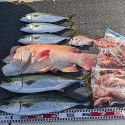 飲ませ釣り(サウス)