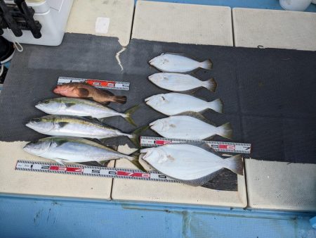 ヒラメ大量（サウス）