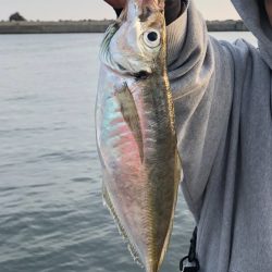 アジング〜投げ釣り