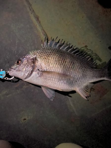 当たりはあるけど