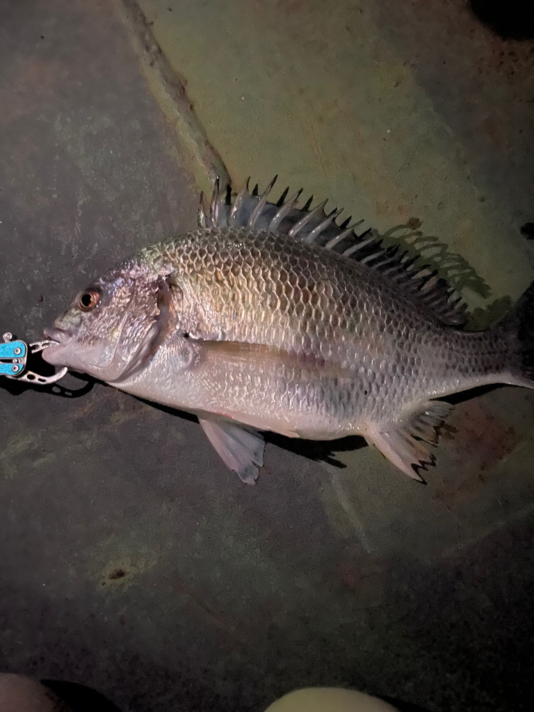 当たりはあるけど