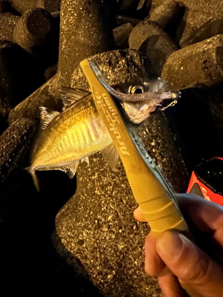 強風の中のアジング