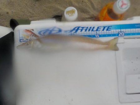 大逆転〜ピンギス祭〜