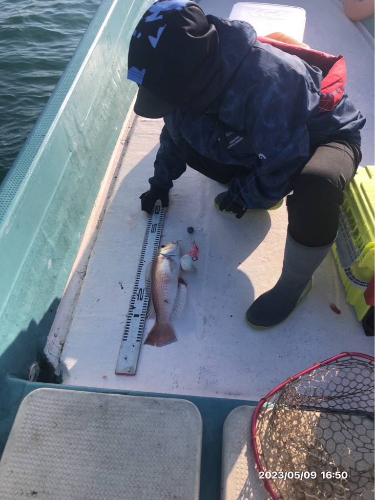 5/9 橘湾〜伊島ジギング&タイラバ