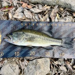 夕まずめの奇跡🌆