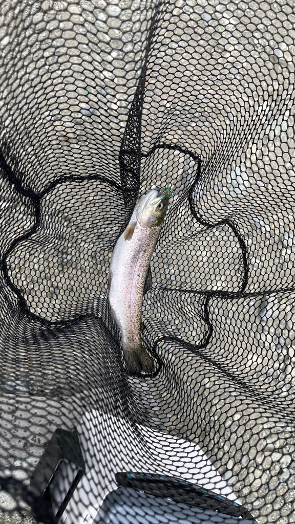 渋かったですが釣れて良かった