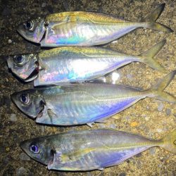 風＋大荒れの海