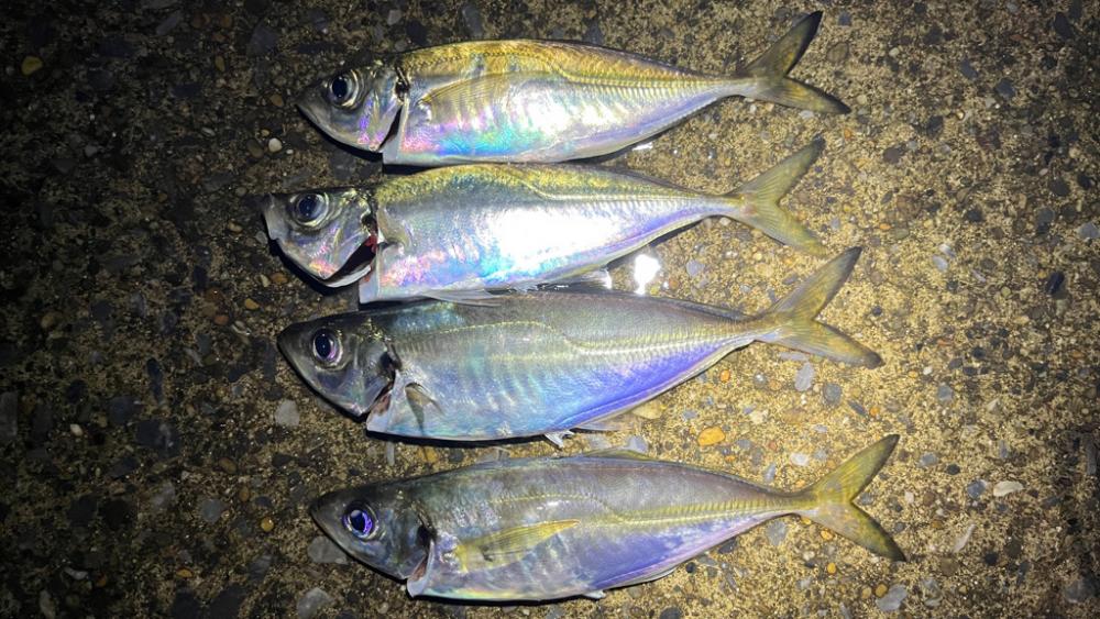 風＋大荒れの海