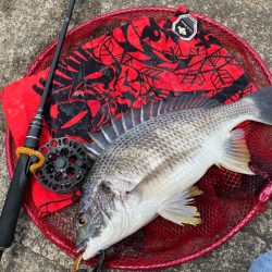 ヘチってきました