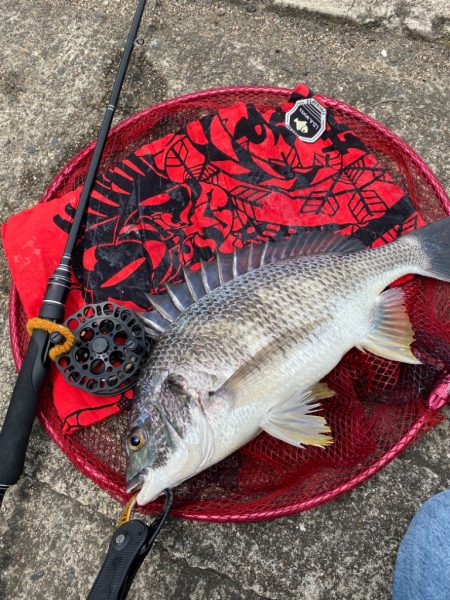 ヘチってきました