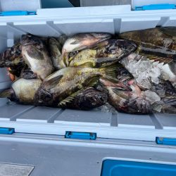 五目フィッシング