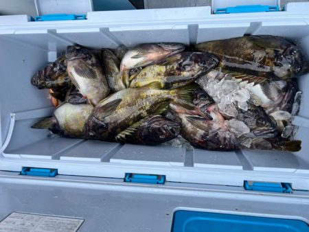 五目フィッシング