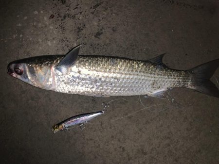 まさかのアイツ