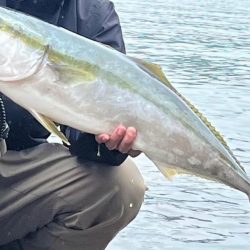 VJで青物get(๑˃̵ᴗ˂̵)