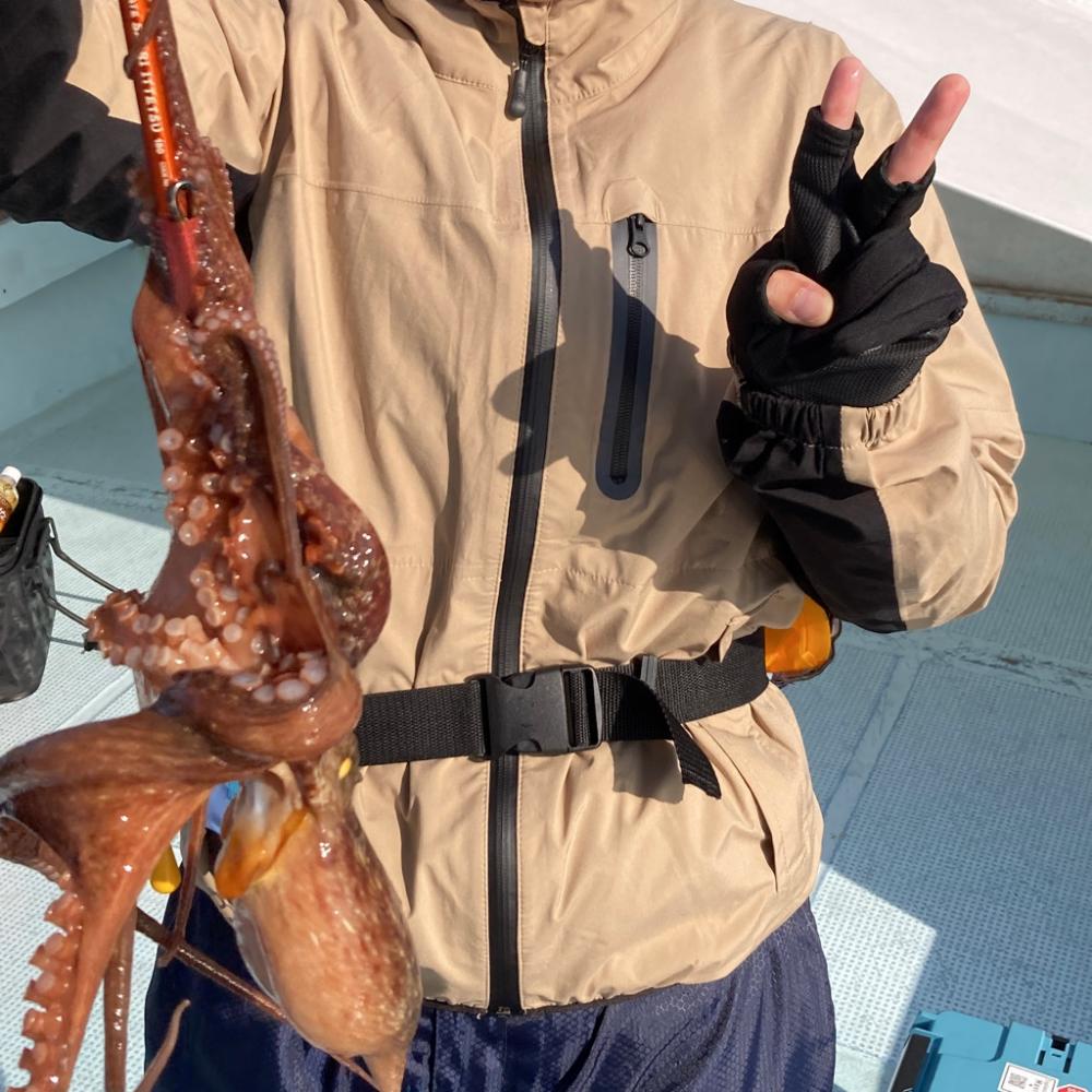 船タコ涙の開幕ならず