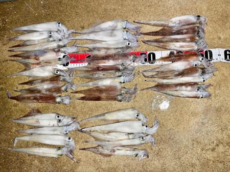 ５月１３日釣行