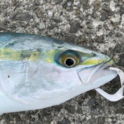 朝夕すごかった