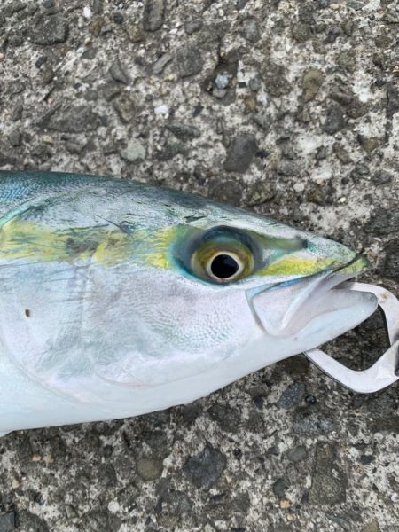 朝夕すごかった