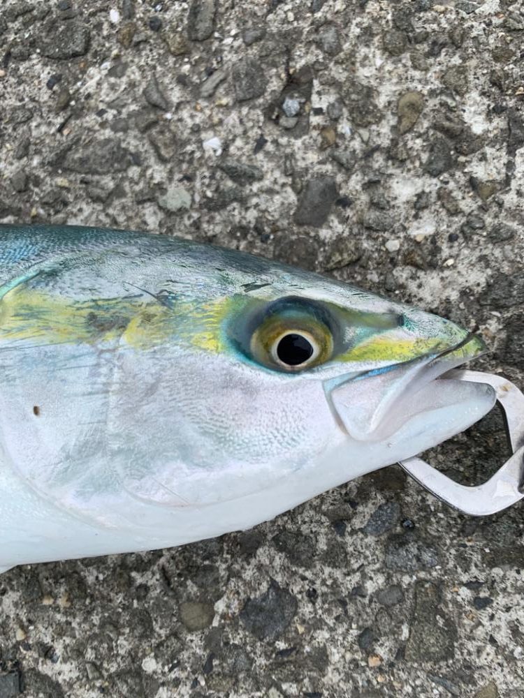 朝夕すごかった