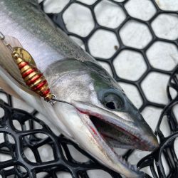 然別湖釣行2日目