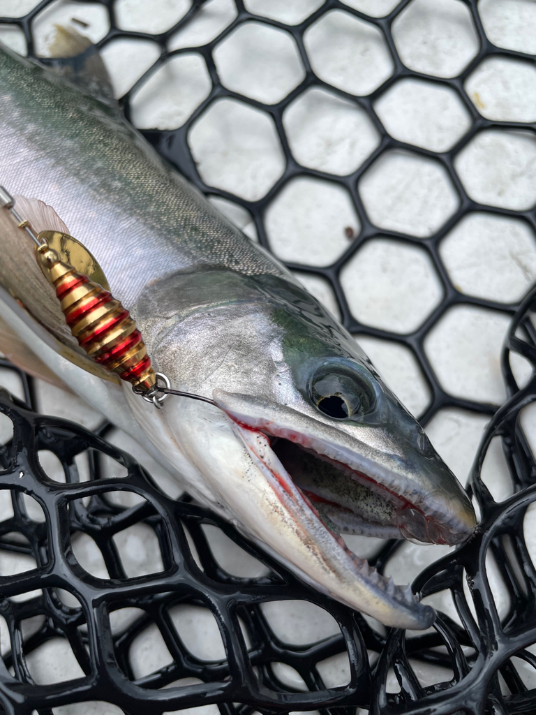 然別湖釣行2日目