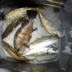 雨のライトゲーム