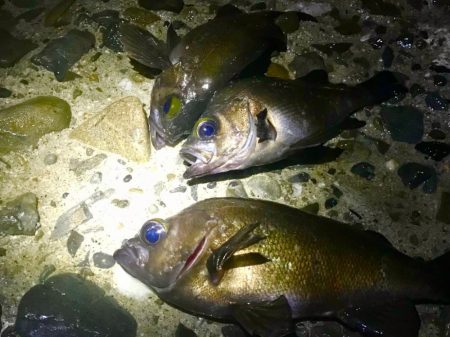 フロートメバリング