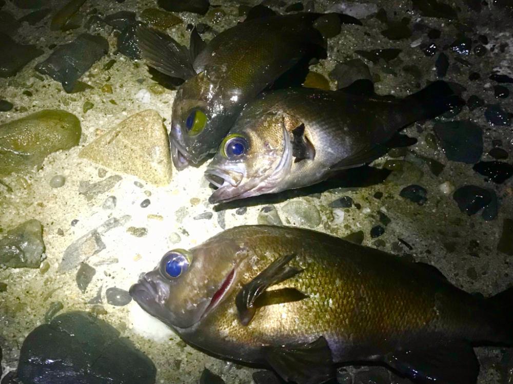 フロートメバリング