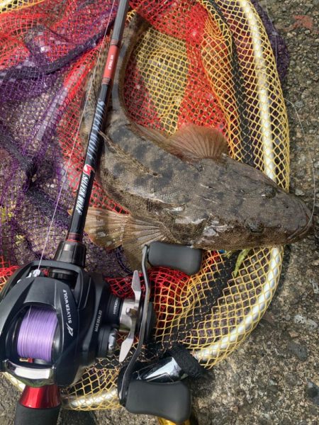 チニングならぬマゴチング？