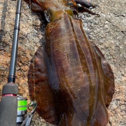 今春は楽しい〜