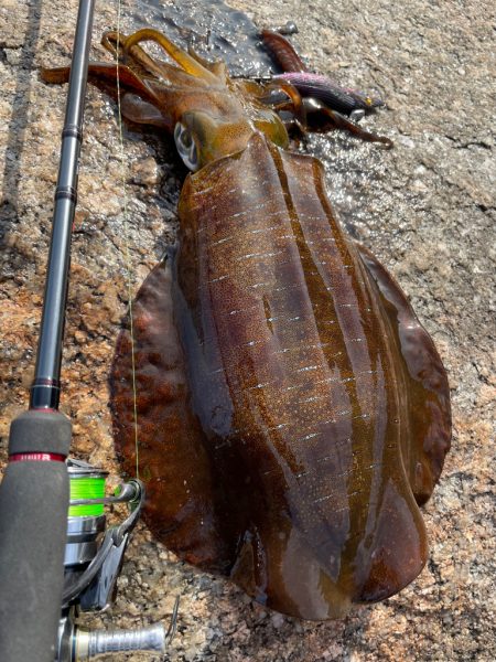 今春は楽しい〜