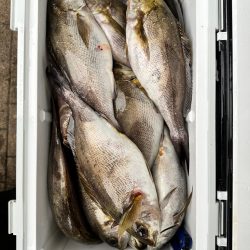 フカセ釣りの大会に参加してきました！