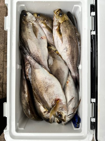 フカセ釣りの大会に参加してきました！