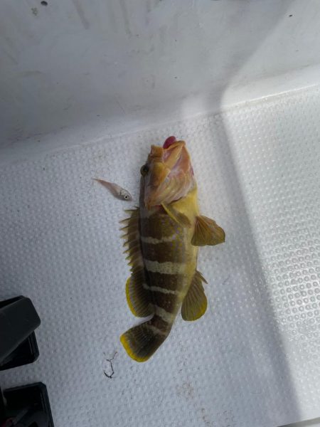 久しぶりのオフショア★