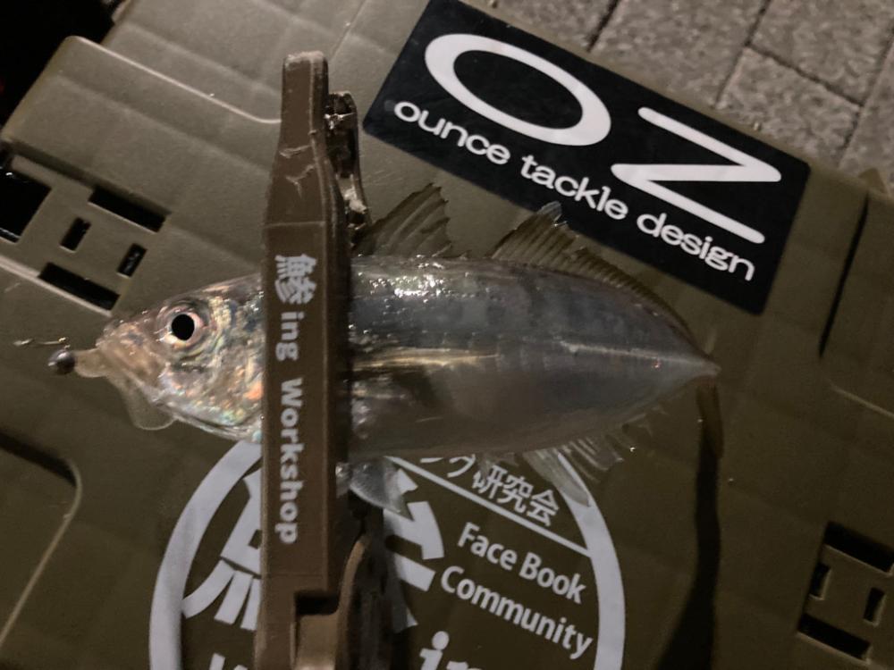 ショートバイトが・・・