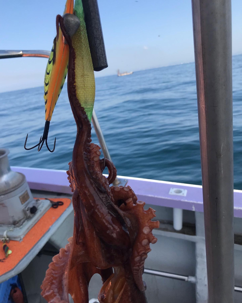 淡路のタコエギ