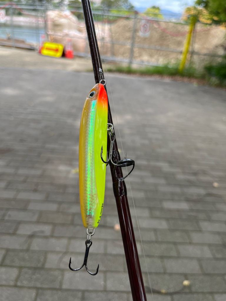 GW最後のチニング!