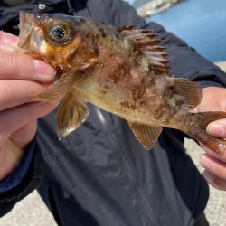 長崎離島最終日