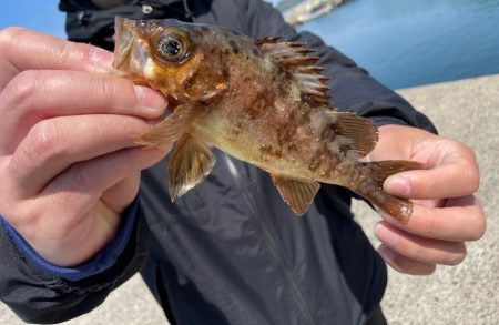 長崎離島最終日